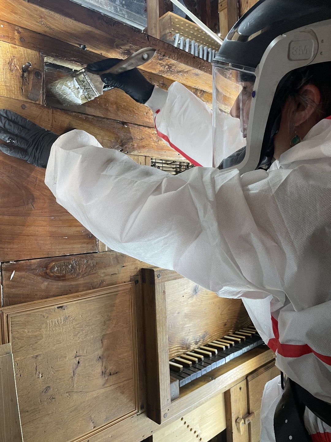 Suppression des xylophages